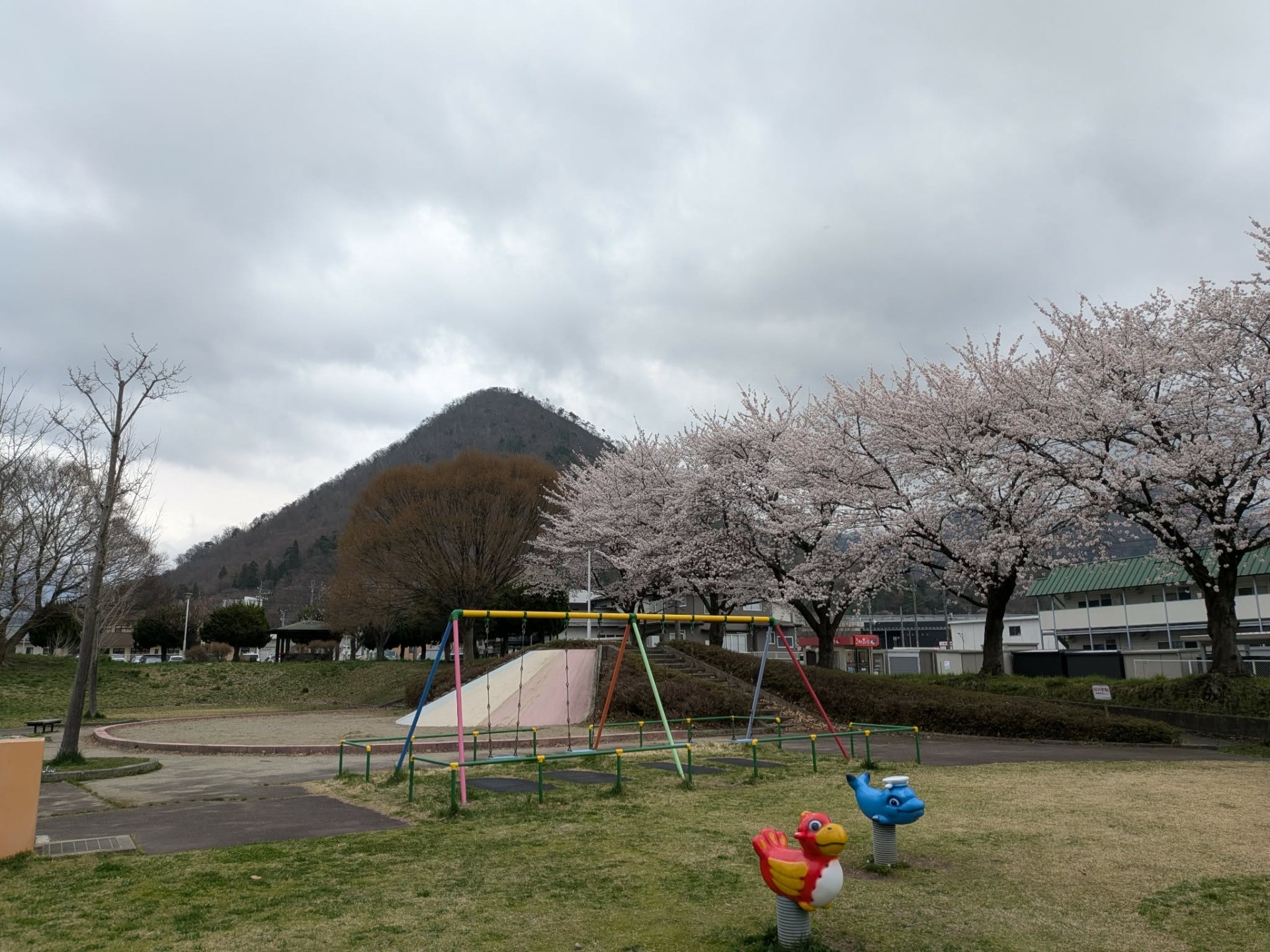 0d95d0a30f7127709e9b8cc17d2c1101-1775807866.jpg 0d95d0a30f7127709e9b8cc17d2c1101-1775807866.jpg