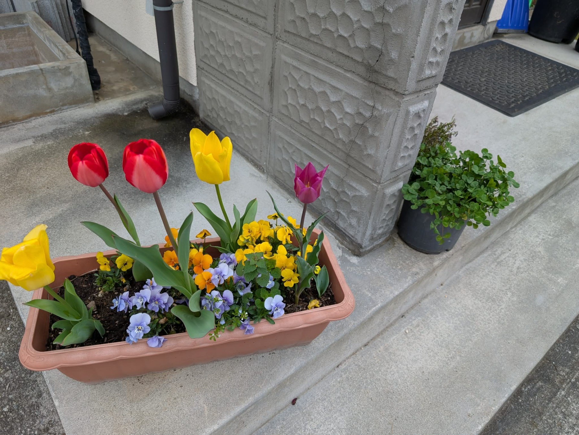 ae57cbb35746477faca5c36f68904387-1775807883.jpg ae57cbb35746477faca5c36f68904387-1775807883.jpg