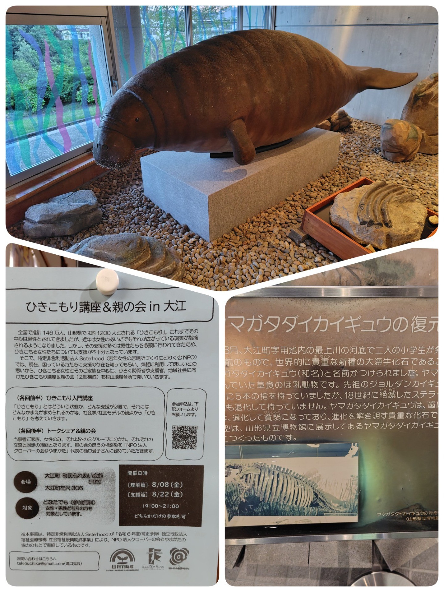 出張相談会＆講座＆親の会