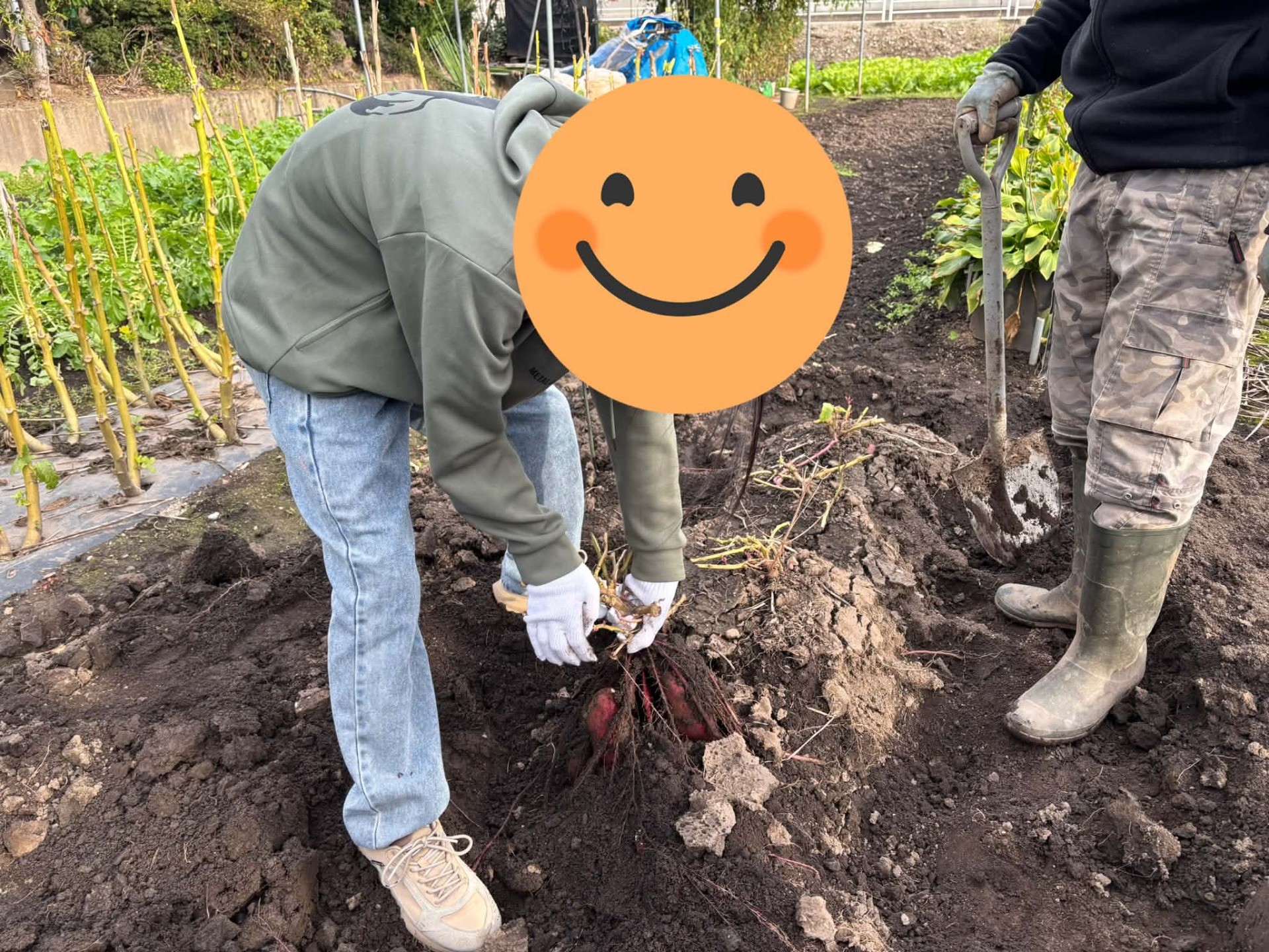 ご支援ありがとうございます！